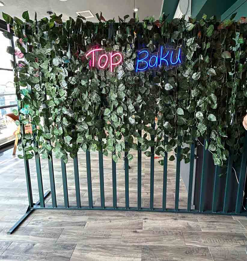 Neon işıqlar layihəsi